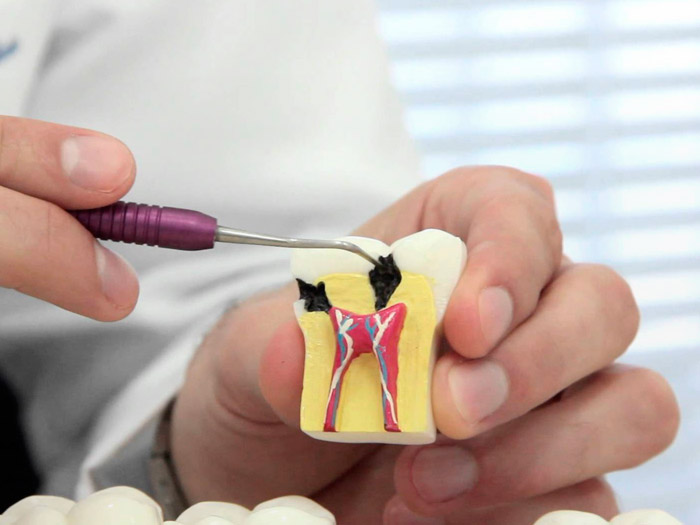 Equipamentos E Produtos Odontológicos